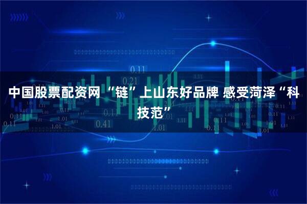 中国股票配资网 “链”上山东好品牌 感受菏泽“科技范”