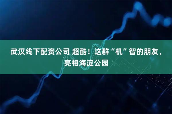 武汉线下配资公司 超酷！这群“机”智的朋友，亮相海淀公园